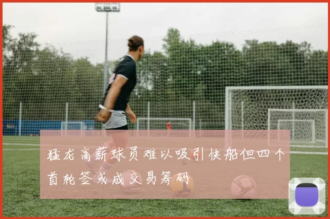 猛龙高薪球员难以吸引快船但四个首轮签或成交易筹码