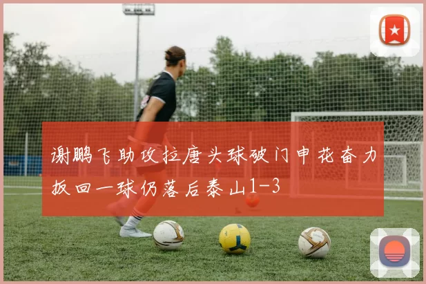 谢鹏飞助攻拉唐头球破门申花奋力扳回一球仍落后泰山1-3