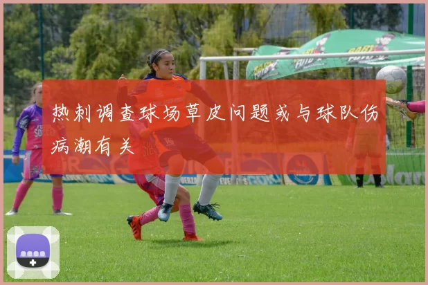 热刺调查球场草皮问题或与球队伤病潮有关